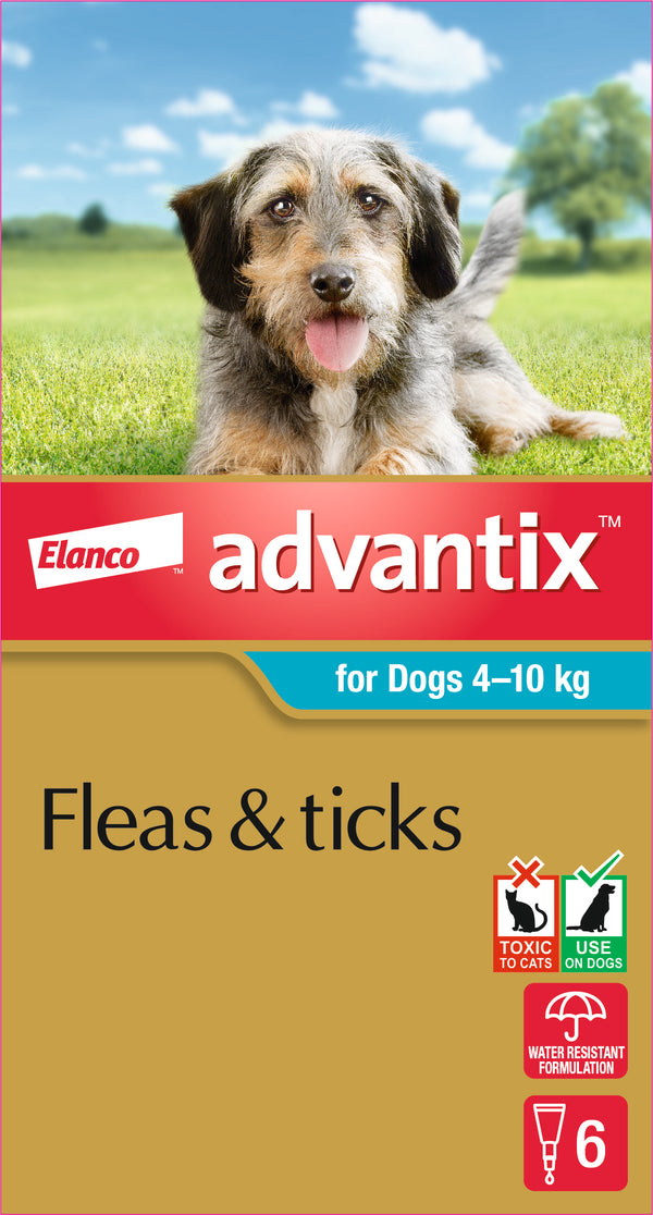 K9 Advantix for Dogs 4-10 kg flea and tick treatment, Elanco packaging with small dog image