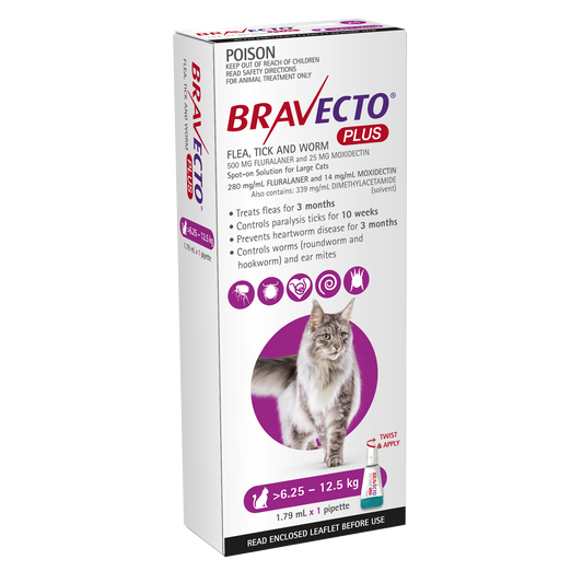 Bravecto Plus flea, tick, and worm protection for large cats 13.7-27.5 lbs, purple pack