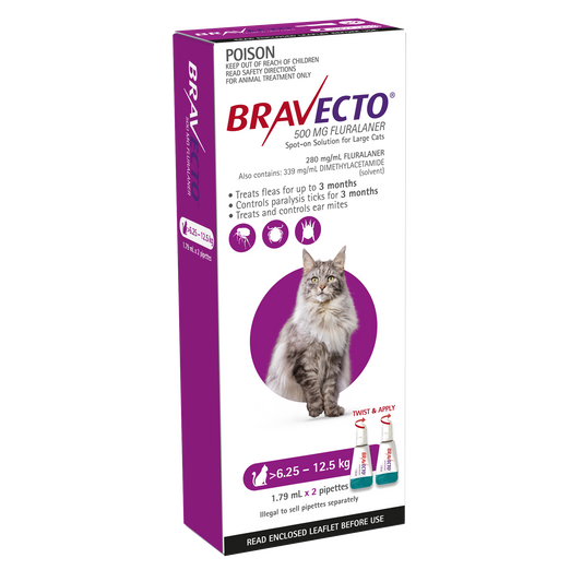 Bravecto Spot-On flea and tick prevention for large cats 13.8-27.5 lbs, purple 2 pack