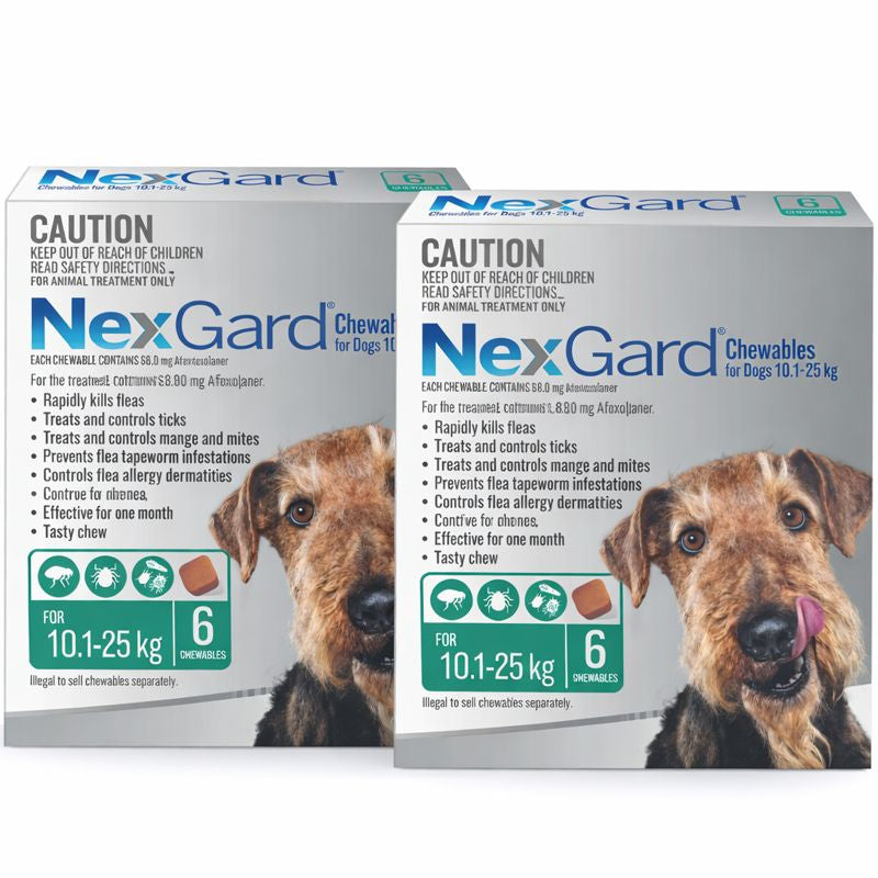 NexGard Chewables for Medium Dogs (24.1–60 lbs) – Green 12 Chews