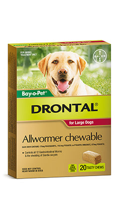 Drontal Allwormer chewable for large dogs, green and brown box with a yellow lab and 20 tasty chews.