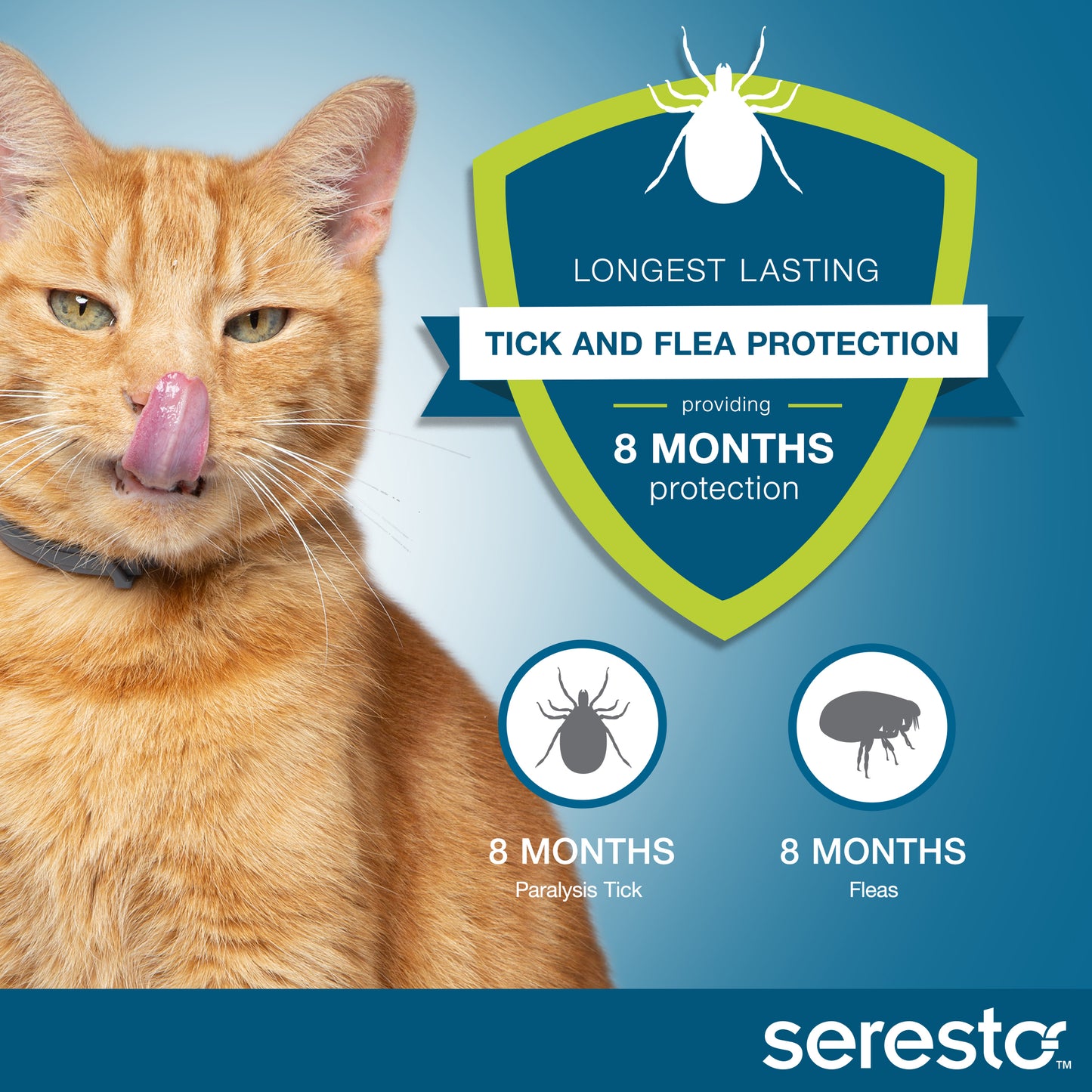 Seresto flea and tick protection collar for kittens, vet-recommended cat care