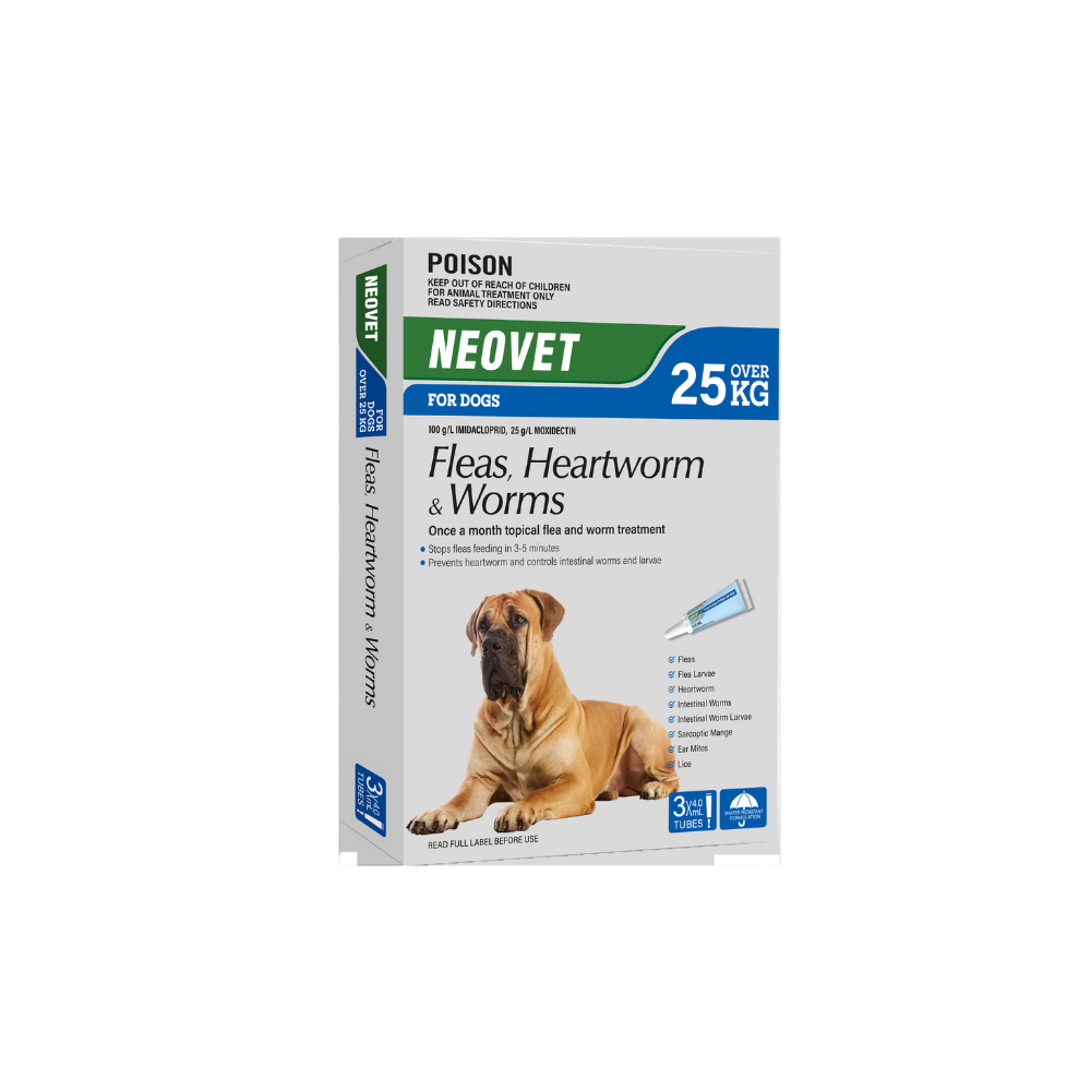 Neovet for Dogs over 25kg (55lbs) 3-pack, a white and green box with a Mastiff dog.