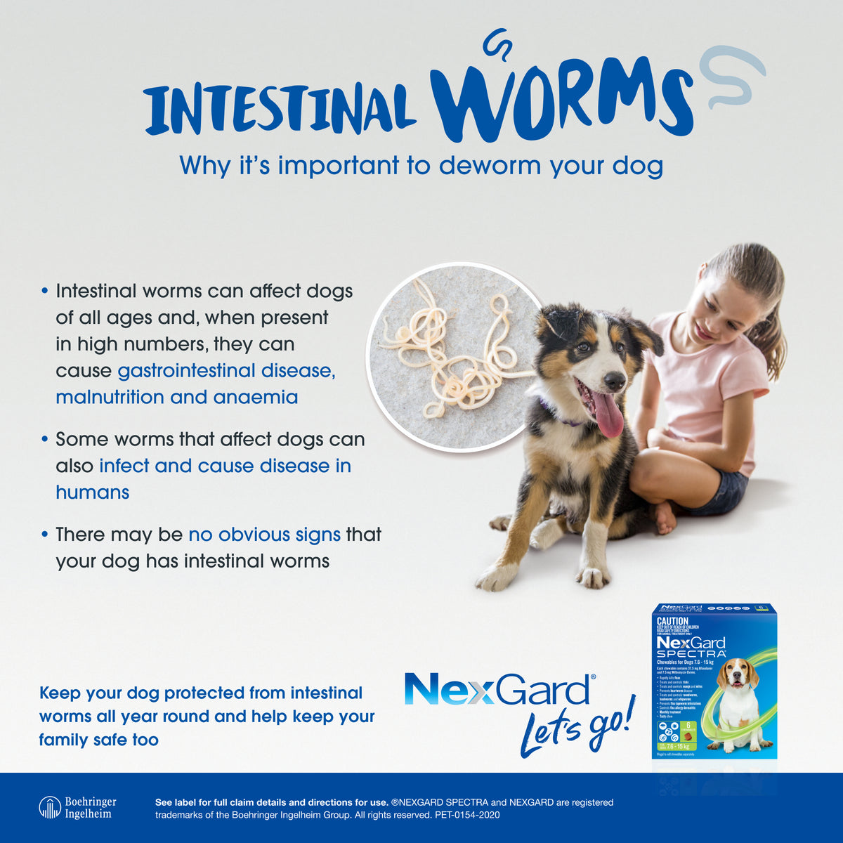 Girl petting a medium dog next to a NexGard Spectra green box and a close-up of intestinal worms.