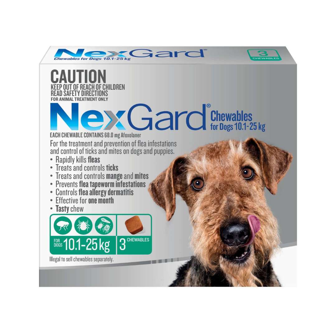 NexGard Chewables for Medium Dogs (24.1–60 lbs) – Green