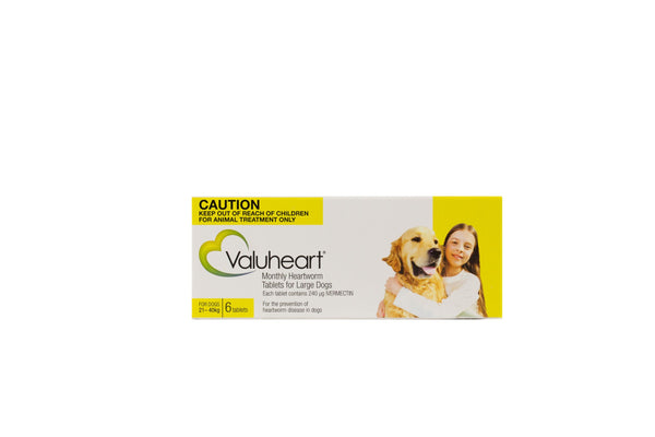 Valuheart Monthly Heartworm Tablets for Large Dogs 21-40kg, gold and white box with a golden retriever and child.
