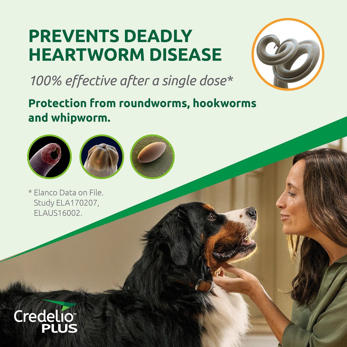 Credelio Dog Health Credelio™ PLUS Green For Large Dogs 11-22 kg