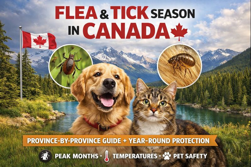 Flea & Tick Season in Canada: By Province