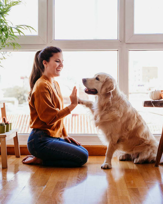 Smartway Pet Supplies: Revolutionizing Pet Health Care for International Customers