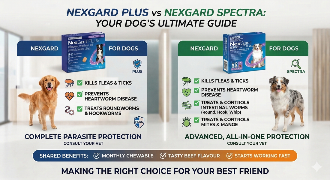 NexGard Spectra vs NexGard Plus: What’s the Difference for U.S. Buyers?