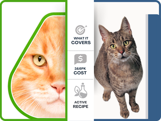 Revolution vs Revolution Plus for Cats: Which One Does Your Cat Need?