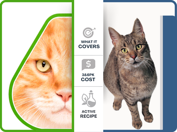 Revolution vs Revolution Plus for Cats: Which One Does Your Cat Need?