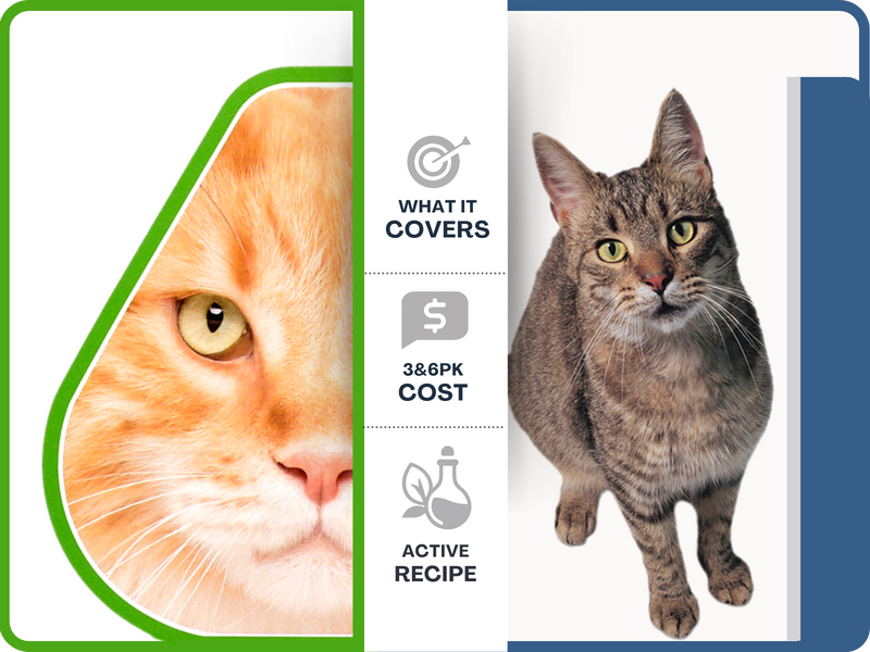 Revolution vs Revolution Plus for Cats: Which One Does Your Cat Need?