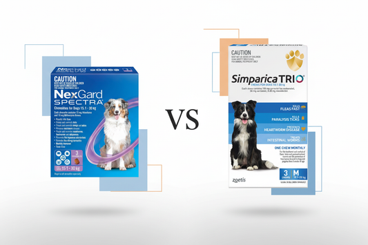 NexGard Spectra vs. Simparica Trio