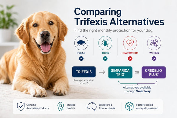 Dog with Trifexis alternatives Simparica Trio and Credelio Plus