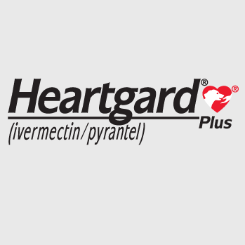 Heartgard Plus Chewables for Dogs
