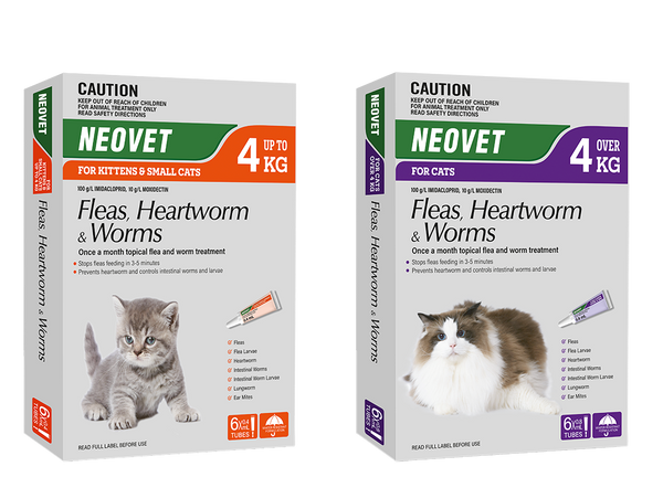 Neovet for Cats:  Broad-Spectrum Parasite Prevention