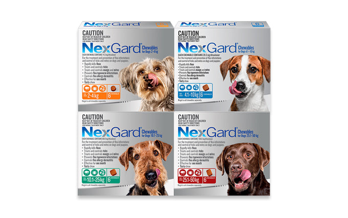 NexGard range — Orange, Blue, Green, Red (4–121 lbs)