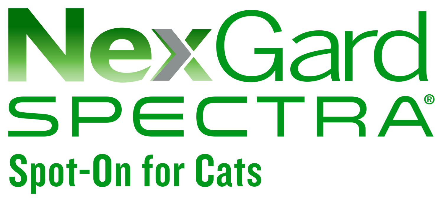 Nexgard spectra spot on for cats 