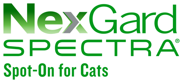 Nexgard spectra spot on for cats 