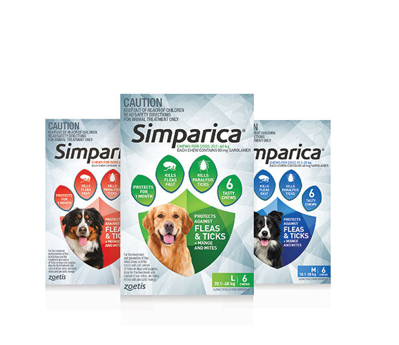 Simparica for Dogs Without Vet Prescription