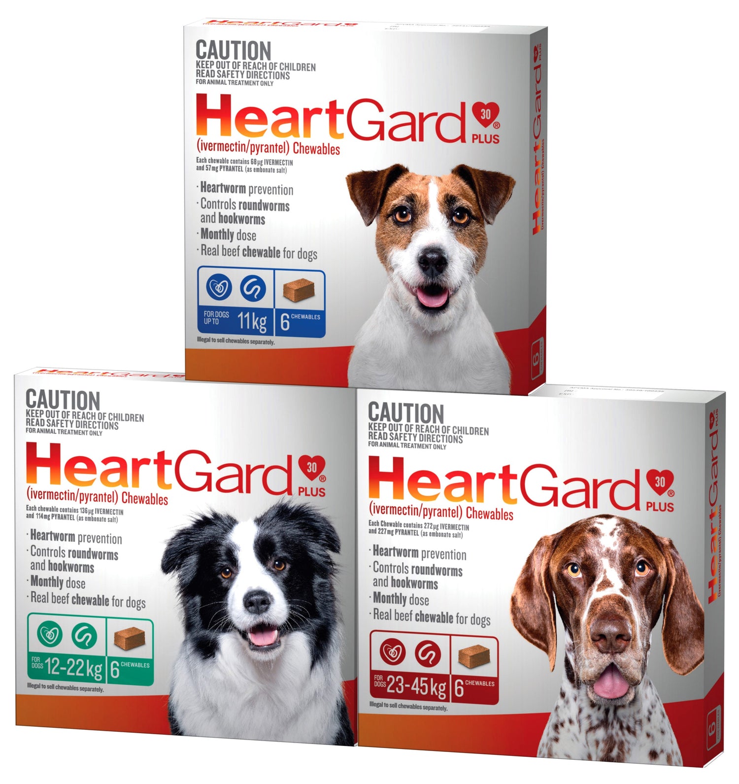 HeartGard Plus for Dogs