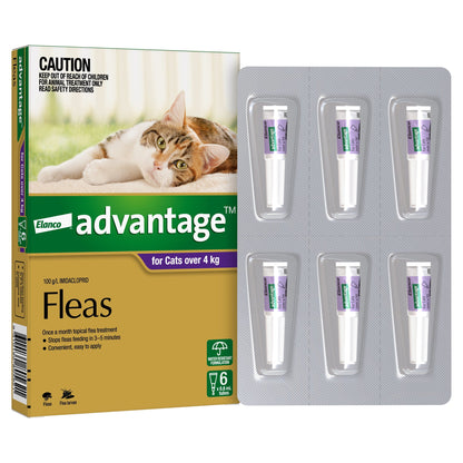 Advantage for Cats over 9lbs (4kg) purple box with a cat, showing 6 spot-on applicators.