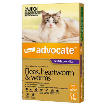 Advocate Spot-On for Cats over 4kg, purple and yellow box with a long-haired cat.