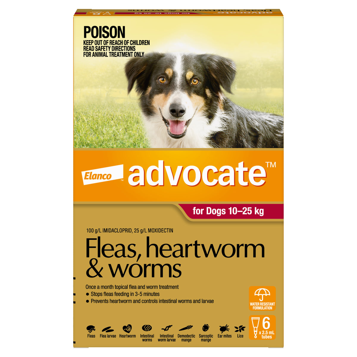 Advocate Spot-On for Dogs 10-25kg, red and tan box with a happy border collie.