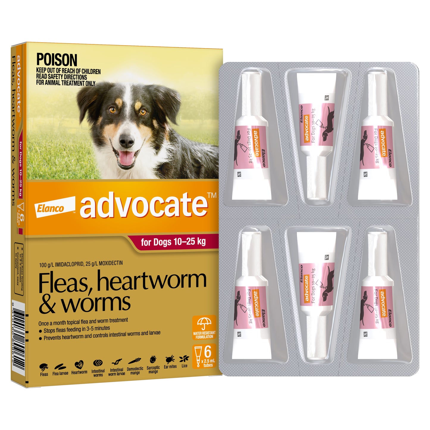 Advocate Spot-On for Dogs 10-25kg, red box with dog image, 6 white tubes in blister pack.