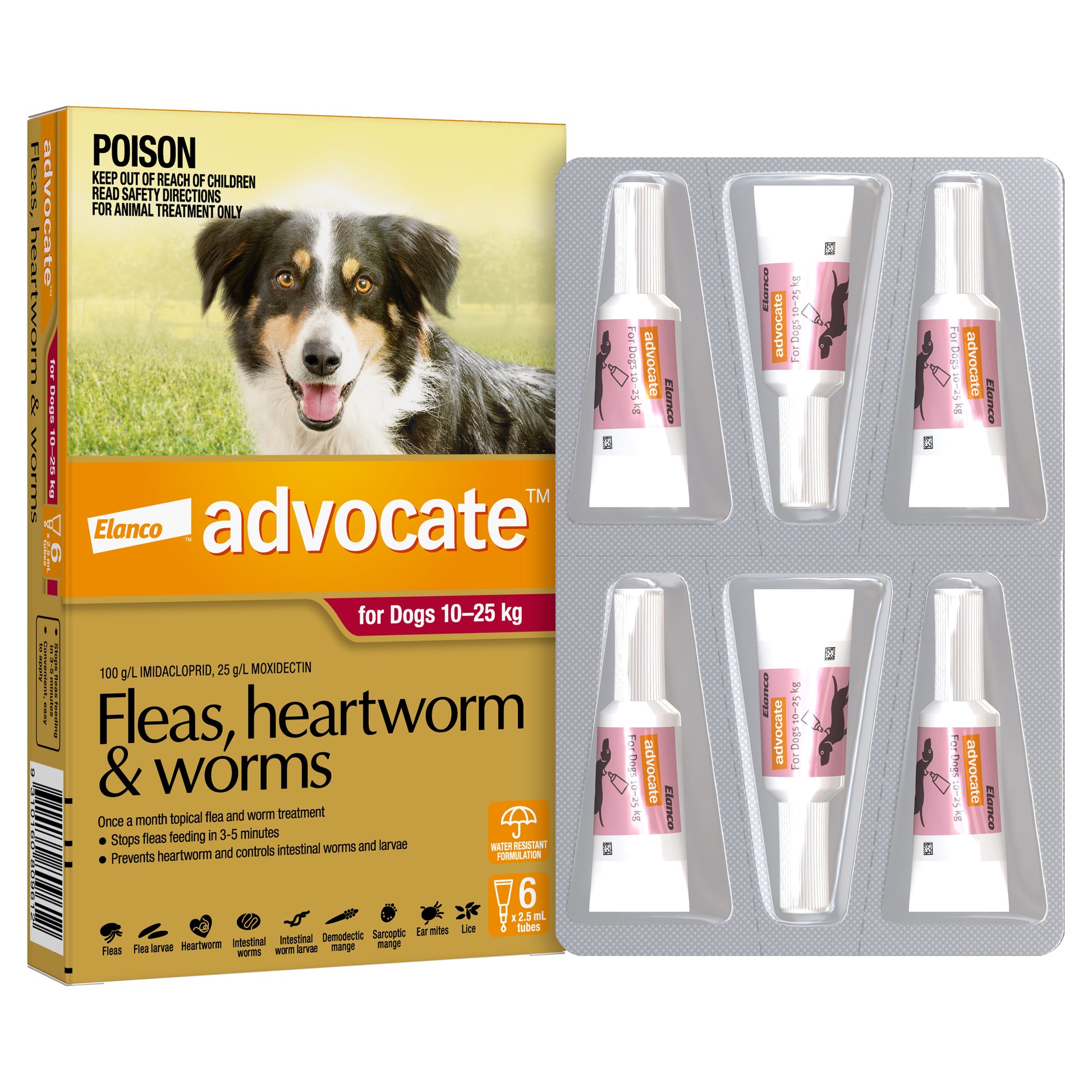 Advocate Spot-On for Dogs 10-25kg, red box with dog image, 6 white tubes in blister pack.