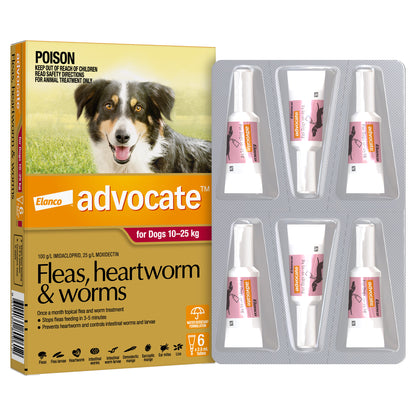 Advocate Spot-On for Dogs 10-25kg, red box with dog image, 6 white tubes in blister pack.