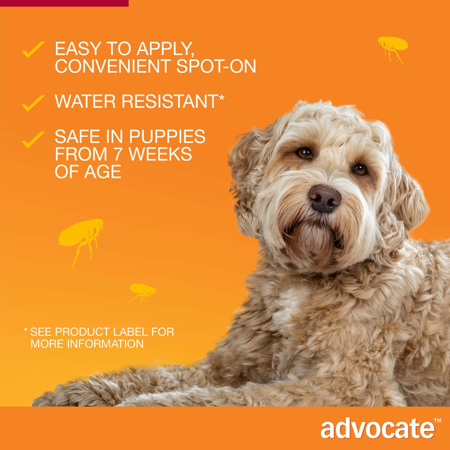 Fluffy golden dog against an orange background with Advocate product benefits and flea icons.