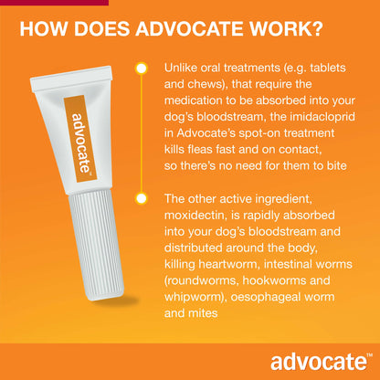 White Advocate spot-on tube with an orange label, explaining how it works for large dogs.