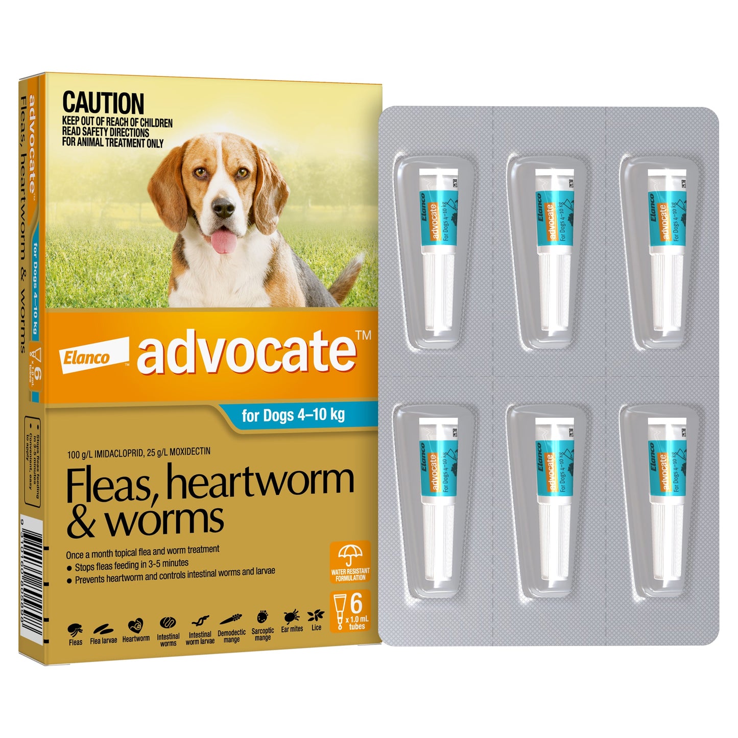 Advocate Spot-On for Dogs 4-10kg box with a beagle, showing six white and teal tubes.