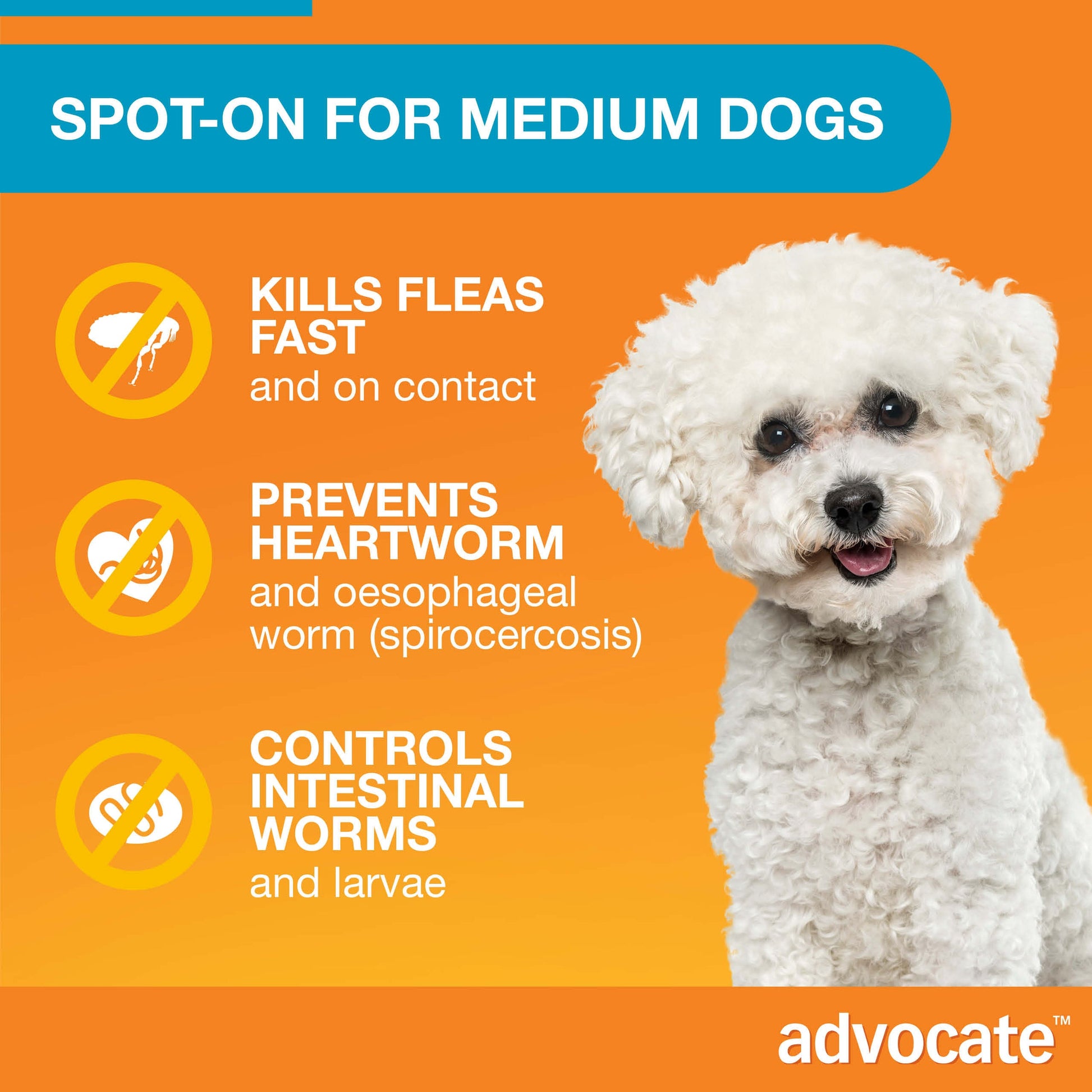 White fluffy dog next to text describing Advocate Spot-On for medium dogs, highlighting flea, heartworm, and intestinal worm protection.