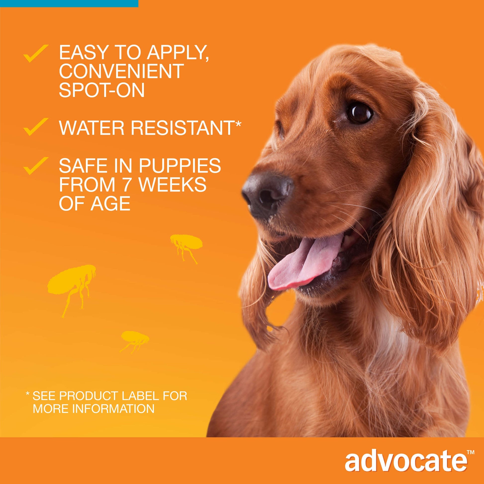 Advocate Spot-On for Dogs, featuring a happy brown Cocker Spaniel and flea illustrations on an orange background.