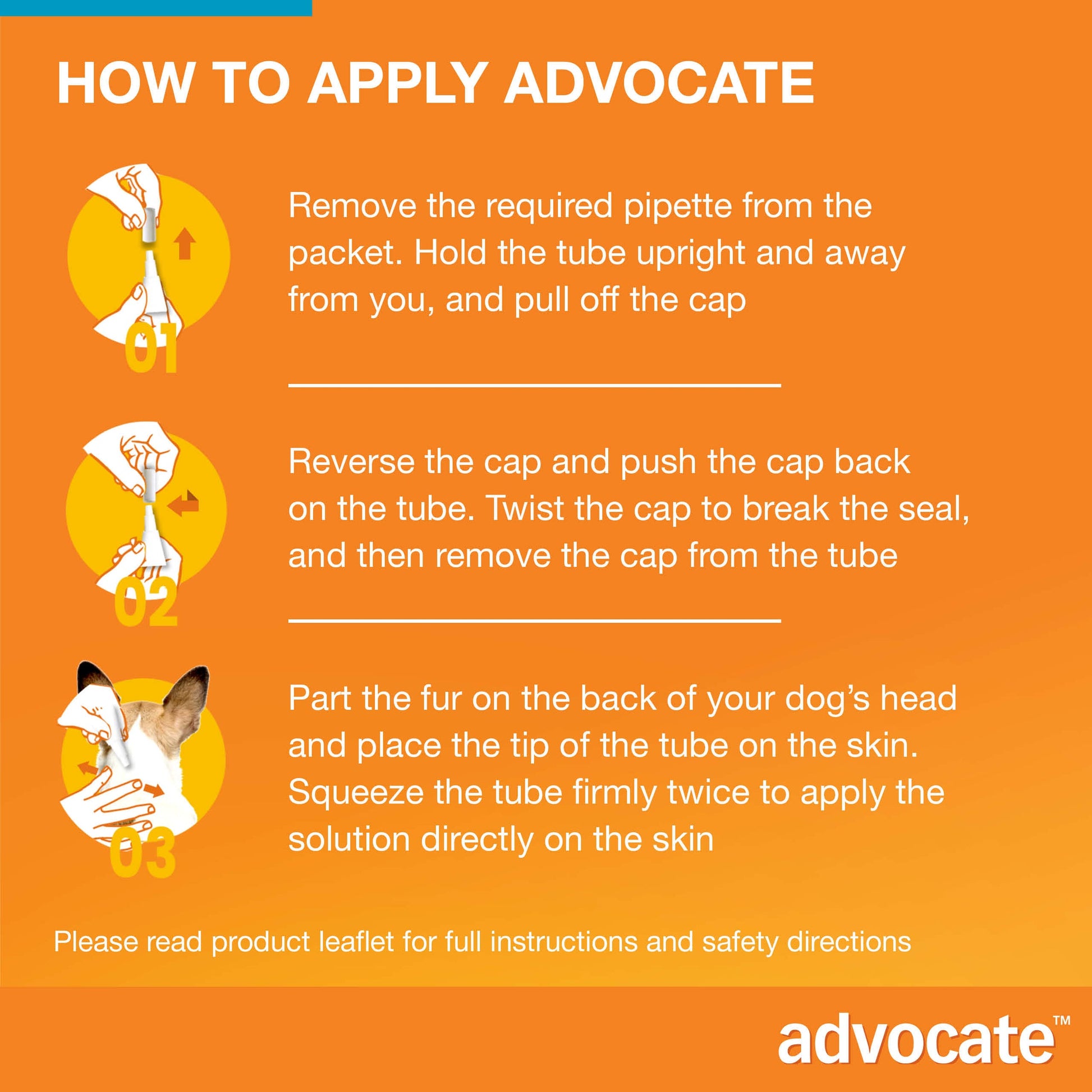 Illustrated guide showing three steps to apply Advocate spot-on treatment to a dog.