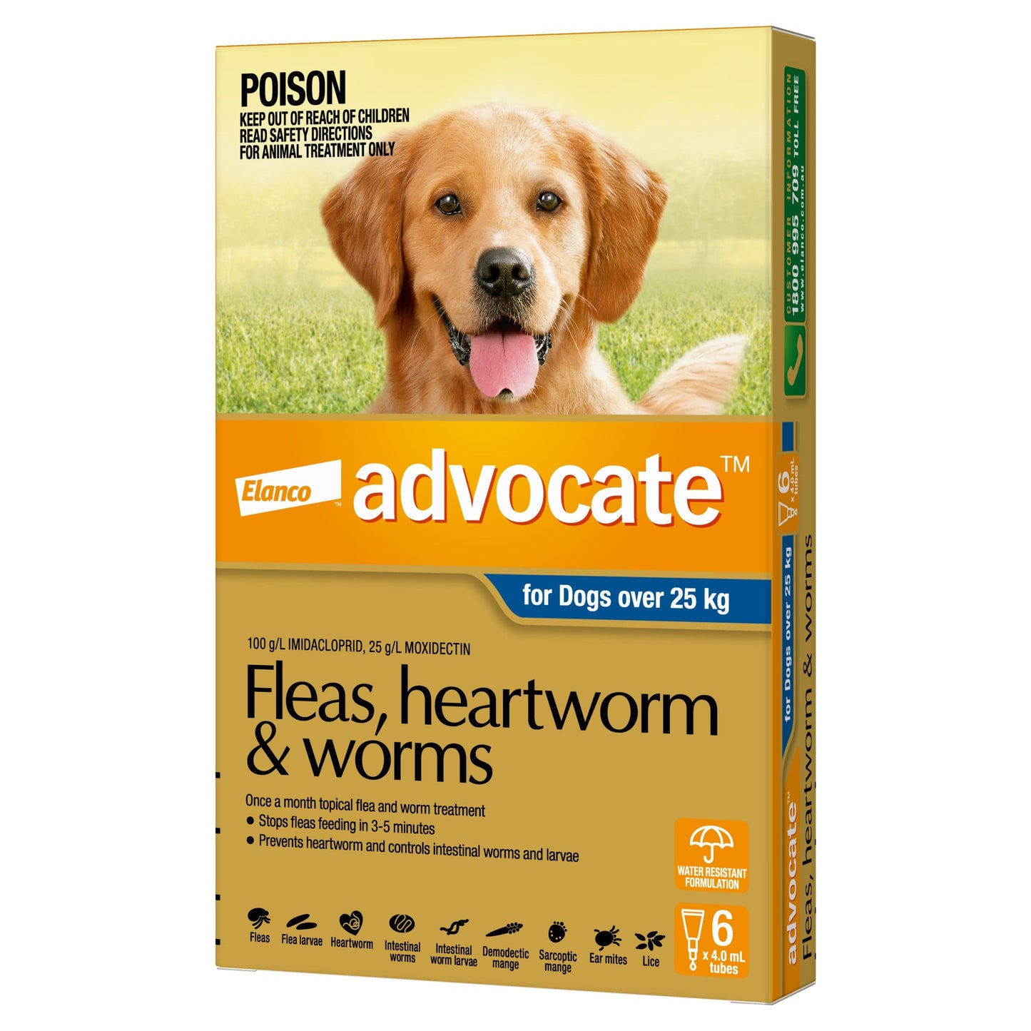 Advocate Spot-On for Dogs over 25kg, yellow and blue box with a golden retriever.