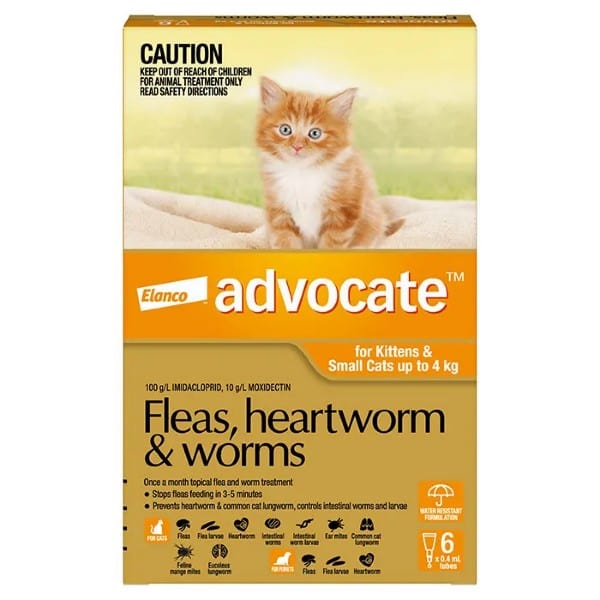 Advocate Spot-On orange box for kittens & small cats up to 9 lbs, featuring a ginger kitten.