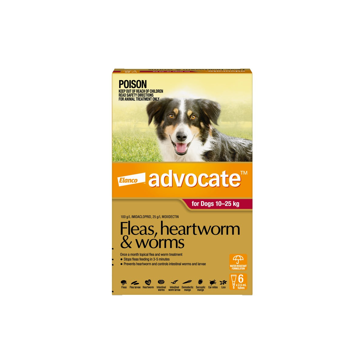 Advocate Spot-On For Dogs 20.1-55 lbs 10-25kg – front of pack – front of pack