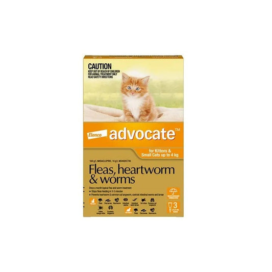 Advocate Spot-On for Kittens Small Cats Up to 9 lbs Orange Pack – front of pack – front of pack