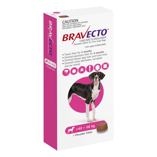 Bravecto Chewables for Very Large Dogs (40-56 kg) pink box with a Great Dane and a single chew.
