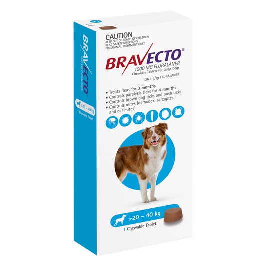 Bravecto chewable tablet for large dogs 44-88 lbs, flea and tick prevention