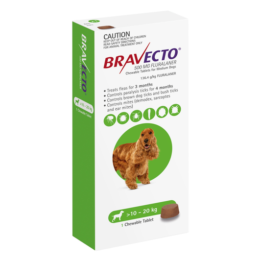 Green Bravecto 500mg chewable tablet box for medium dogs 10-20kg with a cocker spaniel graphic.
