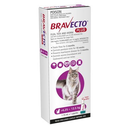 Bravecto Plus flea, tick, and worm protection for large cats 13.7-27.5 lbs, purple pack