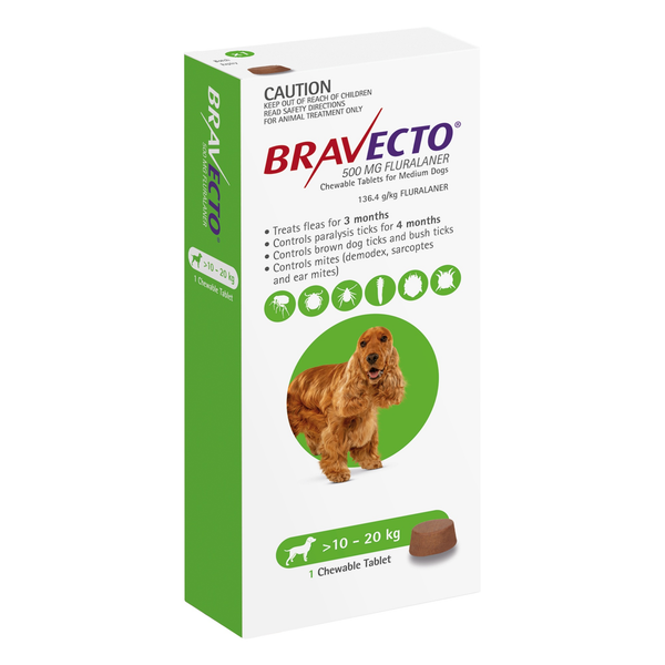 Green Bravecto 500mg chewable tablet box for medium dogs 10-20kg with a cocker spaniel graphic.