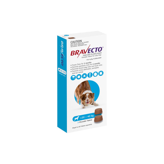 Bravecto Chewables for Large Dogs 44-88 lbs 20-40 kg Blue – front of pack – front of pack