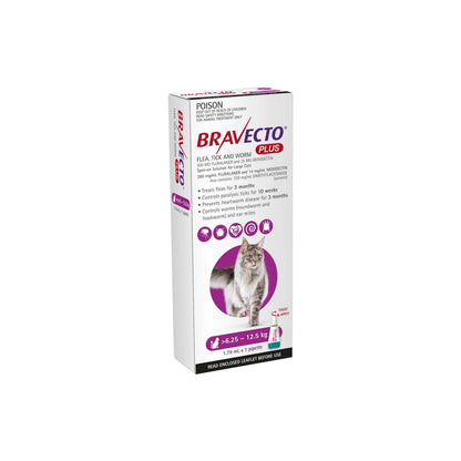 Bravecto Plus Spot On Cat Large 13.7-27.5lbs Purple – front of pack – front of pack