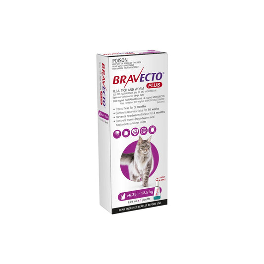 Bravecto Plus Spot On Cat Large 13.7-27.5lbs Purple – front of pack – front of pack